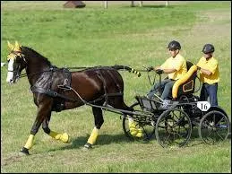 Quelle est cette discipline ?