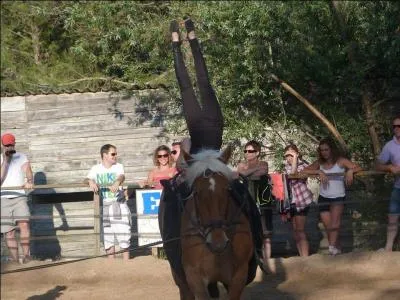 De quelle discipline questre s'agit-il ?