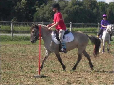 Avez-vous trouv le nom de cette pratique ?