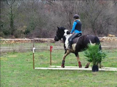 Comment appelle-t-on cette discipline ?