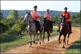 Quelle est cette discipline ?