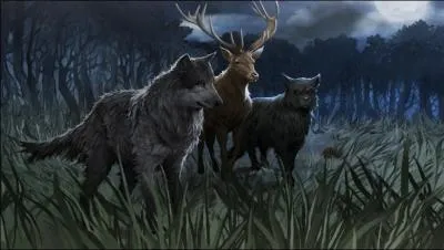 Toujours en parlant des Maraudeurs, si je vous dis  Lunard, Queudver, Patmol et Cornedrue , que me rpondez-vous ?