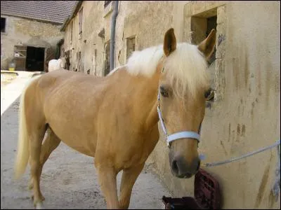 Quelle est cette robe ?