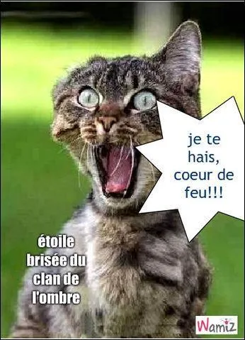 Que dit toile Brise  Croc Jaune qui le terrifie ?