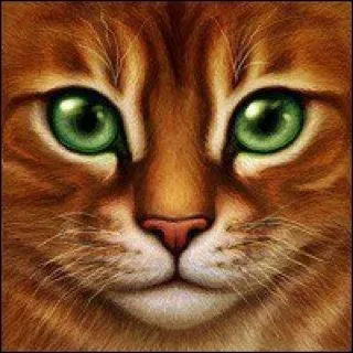 Quel est le nom de guerrier du meilleur ami de Nuage Gris ?