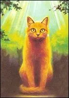 Que lui donne-t-on comme nom d'apprenti ?