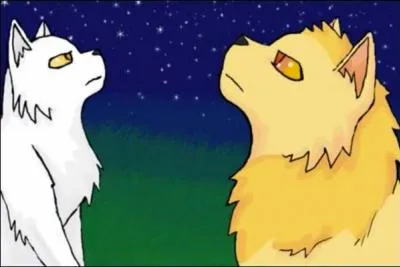 Qui sont ses premiers mentors ?