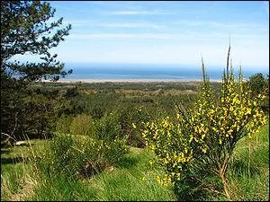 Enn cornal in biau jour (du qu'al l'avaut &eacute;t&eacute; guerre ? ) Al s'&eacute;taut impar&eacute; d'in morciau d'caminbert / Et tout contint d'elle-m&ecirc;me et d'ess bonne aubaine / Al s'&eacute;taut invol&eacute; tout in haut d'in grand qu&ecirc;ne. Quelle est cette version vieille de 30 ans ?