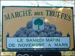 Le Vaucluse est aussi une des patries de la truffe, des dizaines de marchs existent dont 1 le samedi matin dans un petit village de 696 habitants qui accueille le plus grand march europen de ce champignon, mais dans quel petit bourg se situe-t-il ?