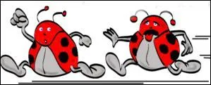 Que dit une coccinelle  sa copine qui court plus vite qu'elle ?