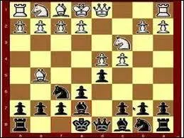 Comment se nomme ce pige aux checs ?