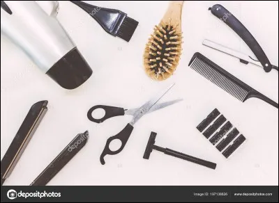 Comment sont les cheveux du monsieur qui recueillit le chat ?