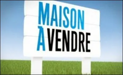 Comment s'appelle la personne qui veut vendre le manoir ?