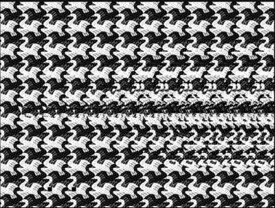 Que distinguez-vous sur cette image ?