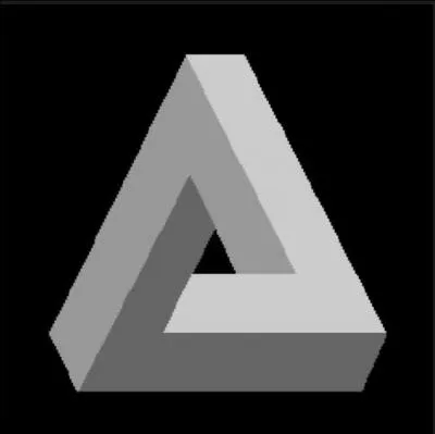 Que distinguez-vous ici ?