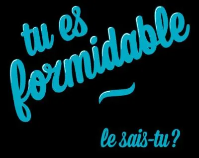 Qui chante  Formidable  ?