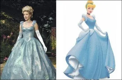 Qu'est-ce que Cendrillon a ?