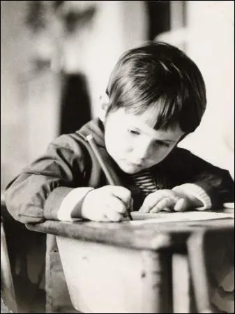 Ses possibilits sont nombreuses : Chanteur, musicien, auteur-compositeur; interprte et crivain qubcois, j'ai nomm  Plume  !