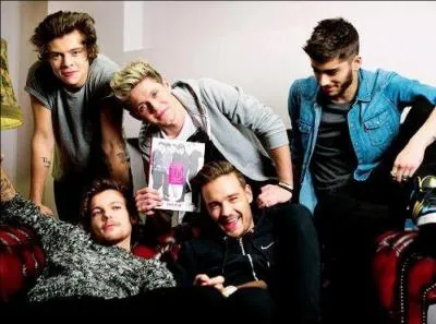 Quel est le groupe que One Direction dteste ?