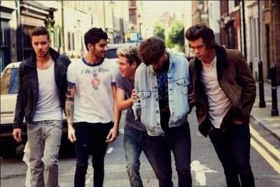 De combien de titres se compose l'album Up All Night ?