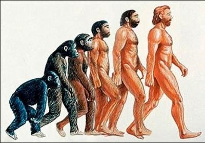  L'origine des espèces  est un ouvrage traitant de l'évolution et écrit par Jean-Baptiste de Lamarck.
