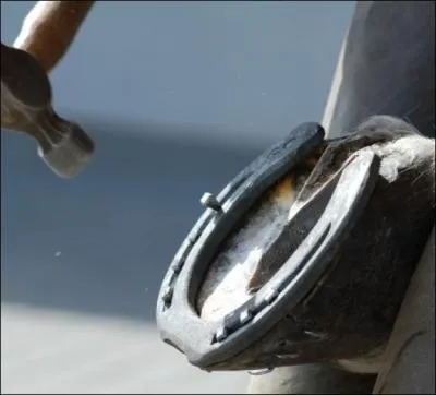 Qu'est ce que  parer  un cheval ?