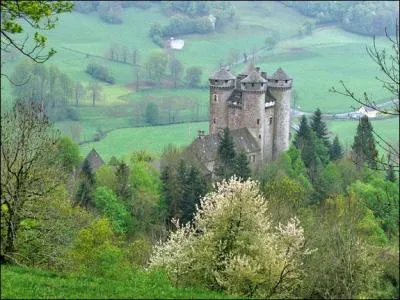 Avant dernire pause dans le Cantal  Tournemire, superbe village  proximit du chteau :