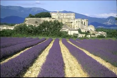 Neuvime tape  Grignan o la marquise de Svign rsida plusieurs fois lors de visite  sa fille, dans quel dpartement sommes-nous ?