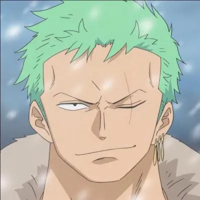 Quel ge a Zoro ? (dans le nouveau monde)