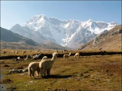 Que dit-on quand la situation semble loin d'tre mirobolante ?