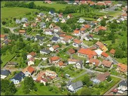 Nous survolons le village lorrain de Danne-et-Quatre-Vents. Situe dans le Pays de Phalsbourg, c'est une commune du dpartement ...