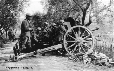Artilleur pour la France entre 1914 et 1917, il meurt de la grippe espagnole peu après son service :