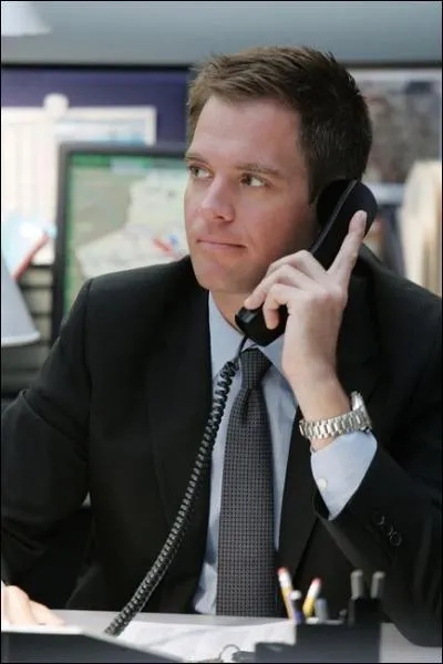 Qui joue le rôle de l'agent Anthony DiNozzo ?