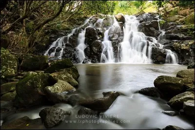 Si personne ne remet en cause les faits, les chiffres, les paroles d'auteurs ou de spécialistes, c'est bien parce que ce sont des ----.