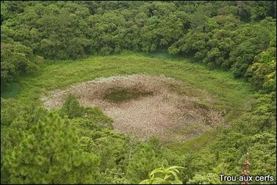 Vous demanderez peut-être de l'aide. Il faut éclairer les récepteurs à comprendre l'opinion de l'émetteur. Pour ce faire, vous souhaitez des recours à la ----, mais je ne peux pas donner de noms, cela va de soi !