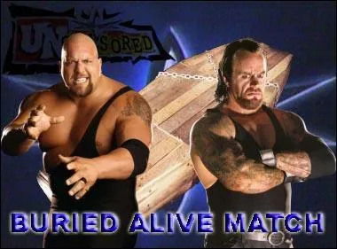 Qui a gagne le match entre undertaker et le big show a survivors series 2008 en casket match