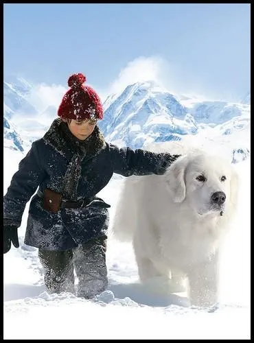 Un grand classique de la littrature est une nouvelle fois adapt, sur grand cran cette fois-ci. Il s'agit de  Belle et Sbastien . Mais de quelle race Belle est-elle ?