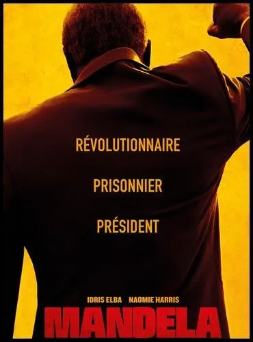 Aprs la mort de Nelson Mandela, il tait vident qu'un petit biopic tait de mise... Quel sous-titre franais a-t-on accol au titre du film  Mandela  ?