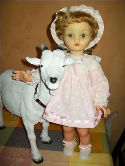 Comment tait la poupe dans une chanson de Sheila ?