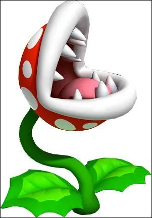 Quel est le personnage sur cette photo ?