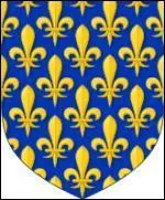 De quelle nouvelle dynastie le nouveau roi de France est-il  l'origine ?