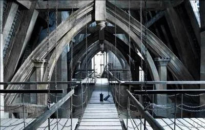 Pendant ce temps, les membres de l'Ordre du Phénix s'activent sur les passerelles de la cour intérieure de Poudlard pour repousser les Mangemorts. Quels membres de l'Ordre du Phénix sont présents à ce moment précis ?