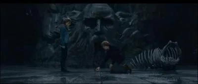 Au même moment, Ron Weasley et Hermione Granger, partis dans la Chambre des secrets, s'apprêtent à détruire la coupe de Helga Poufsouffle. De quelle manière Hermione Granger détruira-t-elle cet horcruxe ?