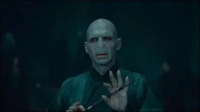Harry Potter assiste caché, avec Ron Weasley et Hermione Granger, à la conversation entre Lord Voldemort et Severus Rogue. Sur quel sujet de désaccord porte cette conversation, qui se conclut par la mort de Severus Rogue ?