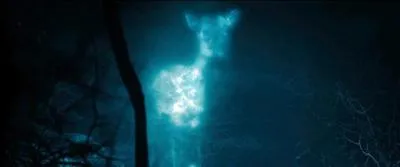 Juste après l'assassinat de Severus Rogue, Lord Voldemort accorde une heure de trêve. Harry Potter, qui contemple avec peine les sorciers morts pour lui, court dans le bureau d'Albus Dumbledore et verse les souvenirs de Severus Rogue dans la Pensine. Parmi ces informations, laquelle est exacte ?