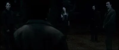 Dans les souvenirs de Severus Rogue, Harry Potter apprend qu'il est le septième et dernier horcruxe. Il décide de se rendre dans la Forêt interdite où l'attend Lord Voldemort. Harry Potter sort de sa poche la Pierre de Résurrection qui fait apparaître ses proches. Combien de personnes la pierre fait-elle apparaître sans compter Harry Potter ?