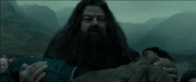 Lord Voldemort, pensant Harry Potter mort, part de la Forêt interdite avec les Mangemorts. Il se présente aux combattants restés dans Poudlard. Qui dépose le corps de Harry Potter à terre ?