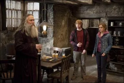 Harry Potter, Ron Weasley et Hermione Granger arrivent à Pré-au-Lard. Ils sont poursuivis par des Rafleurs, des milices de Mangemorts. Comment vont-ils se sauver de cette situation ?