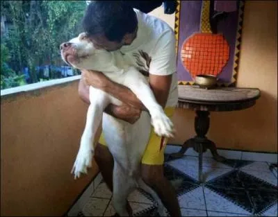 Trouvez l'avant-dernier mot !