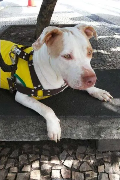 Et finalement, ce dernier mot, cher  Fernand Raynaud !